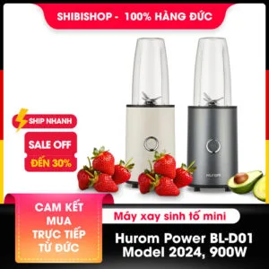 Máy xay sinh tố mini Hurom Power BL-D01 2024