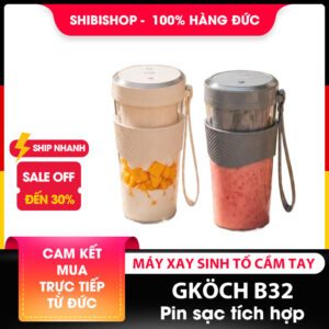 Máy xay sinh tố cầm tay GKÖCH B32